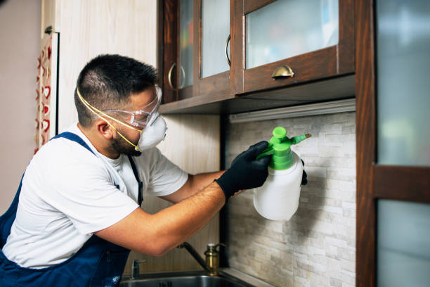 Best Pest Prevention Services  in American Falls, ID